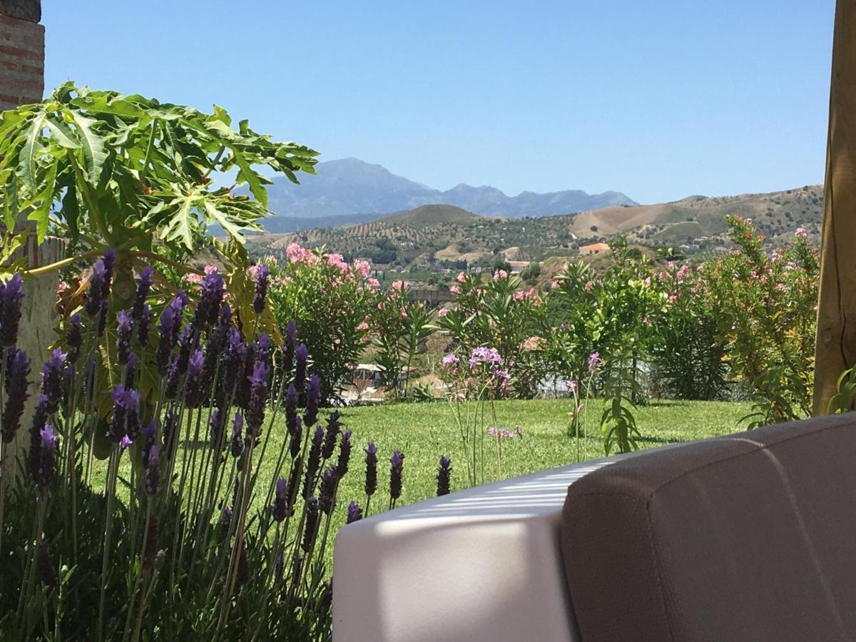 Studio with Terrace,1052334289:JPEG