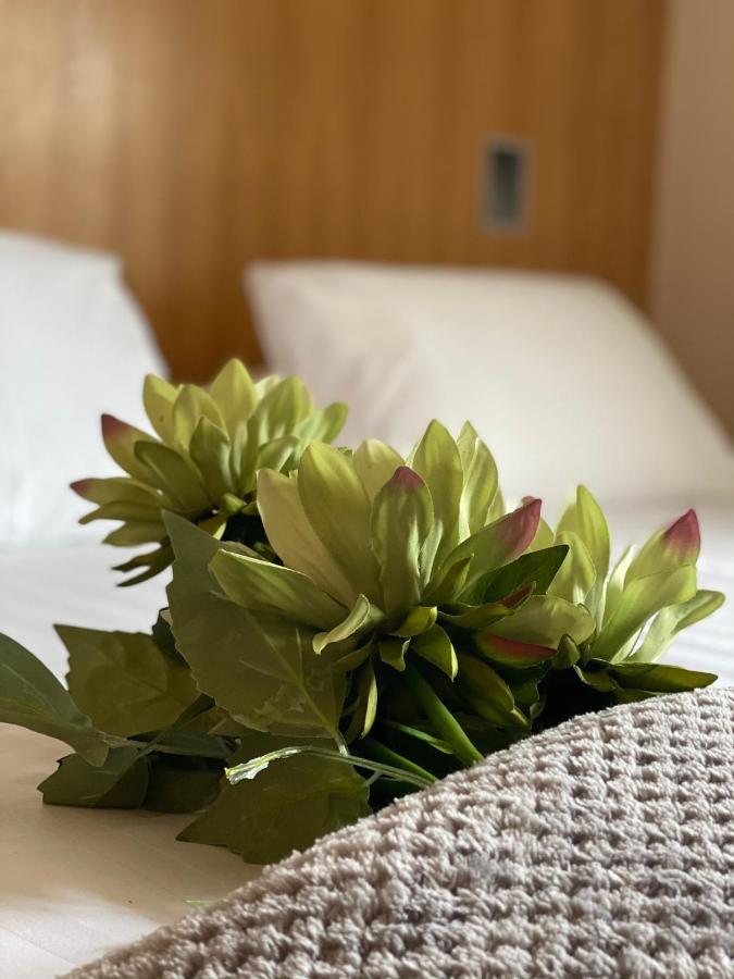 Habitación Familiar (2 adultos y 2 niños)