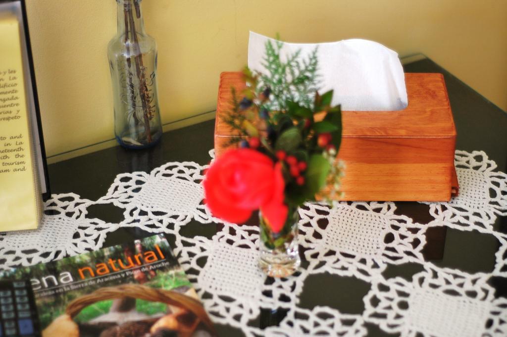 Double or Twin Room Terrace