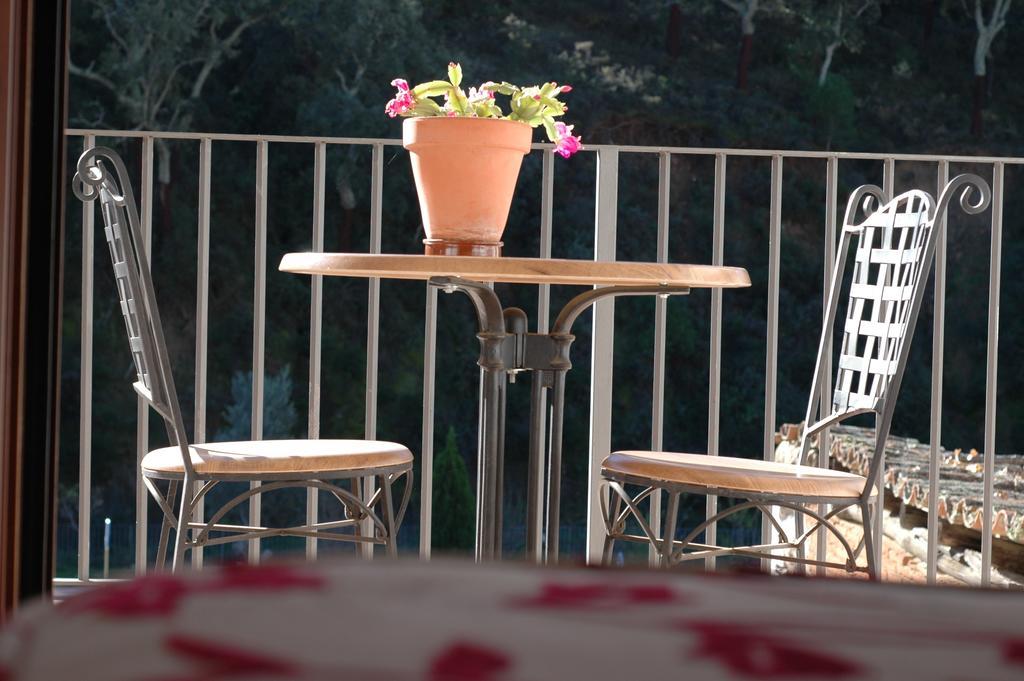 Double or Twin Room Terrace