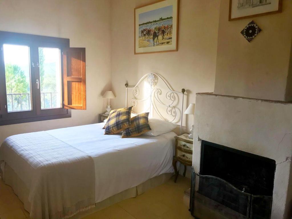 Family Double Room