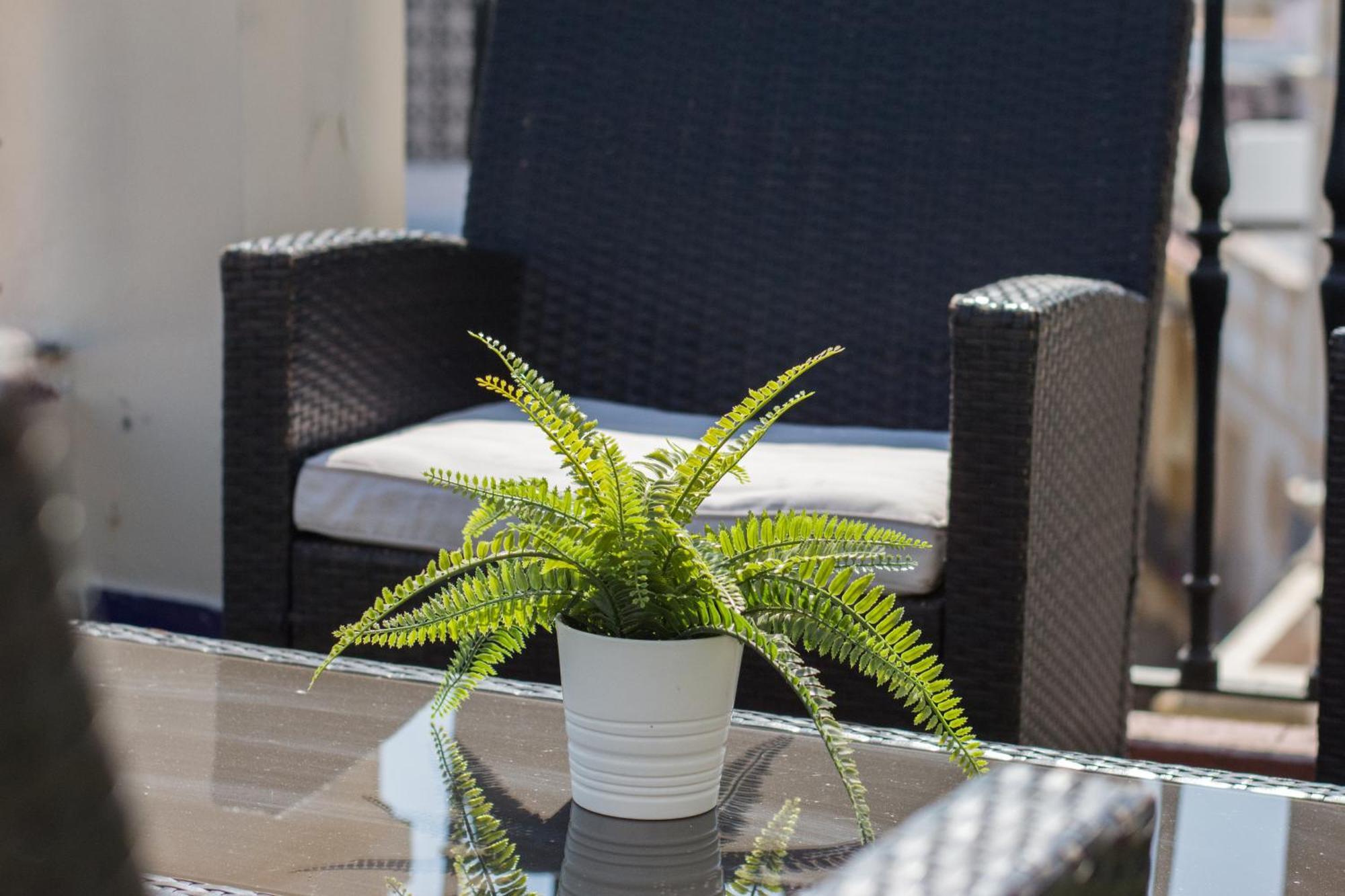 Twin Room Terrace