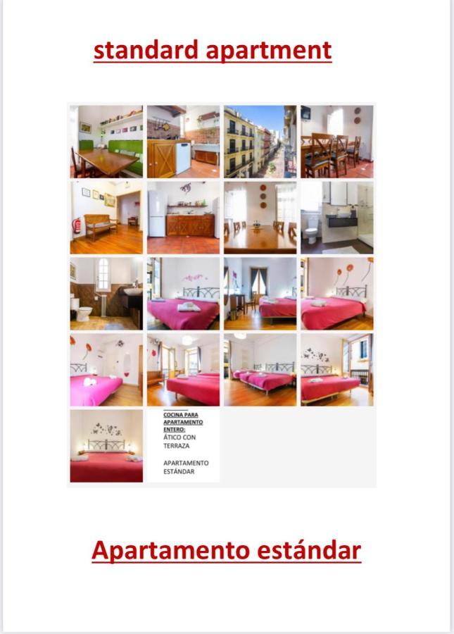 Standard Apartment
