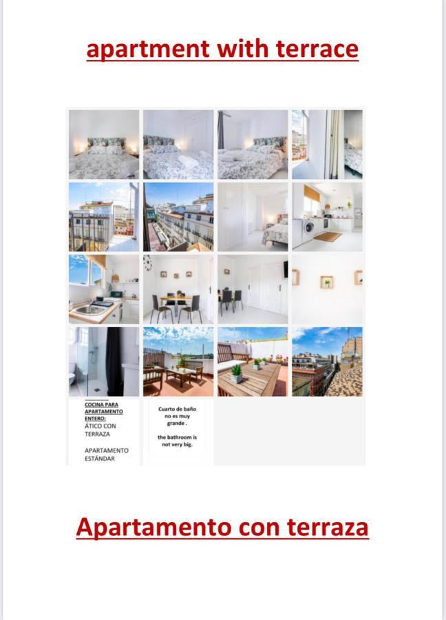 Apartment Terrace
