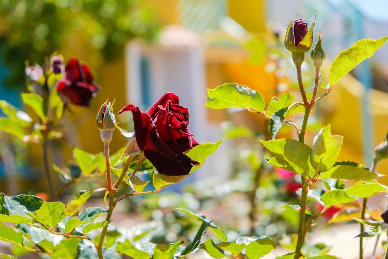 Double Room with Private Bathroom,1245507109:JPEG