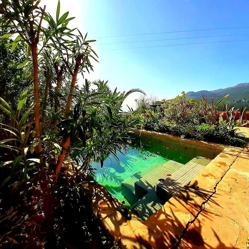 Bungalow Private Pool Private garden