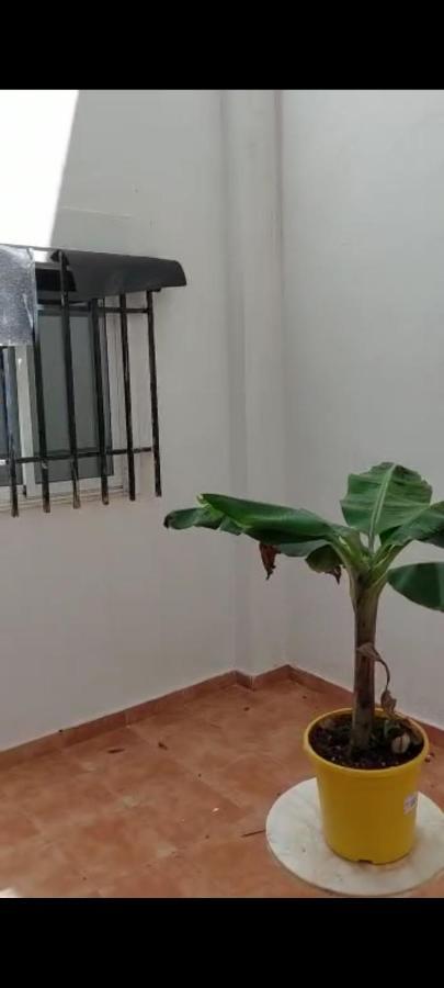 Apartment Ground Floor
