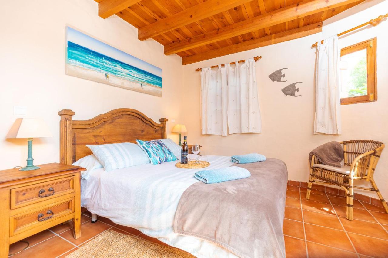 Estudio con terraza
