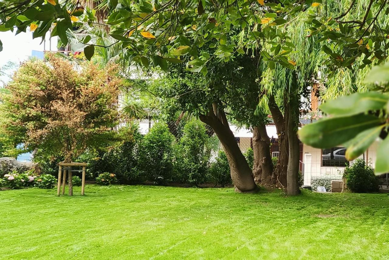 Studio avec Vue sur Jardin