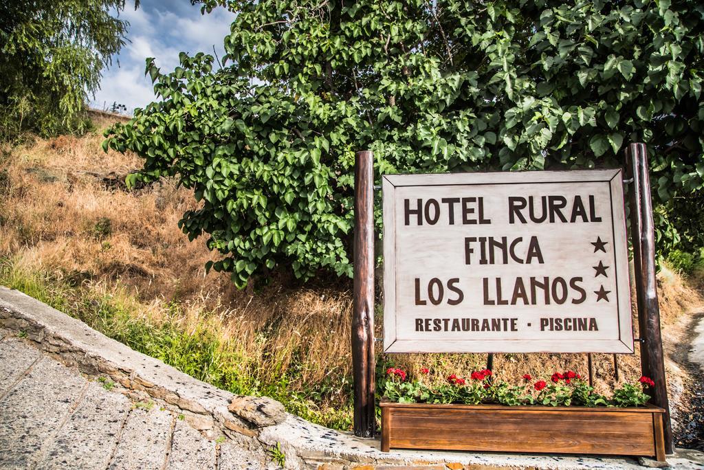 Suite Junior con terraza