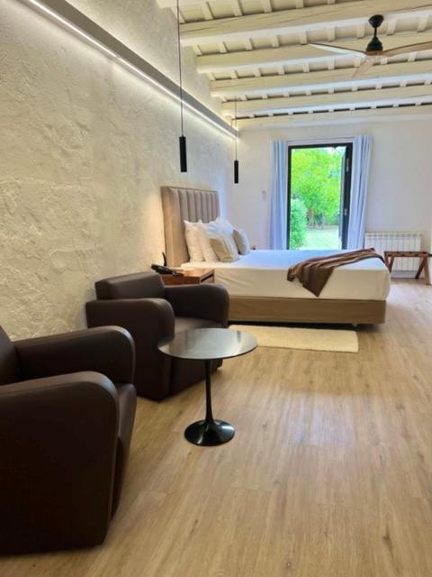 Junior Suite with Terrace,1547272579:JPEG