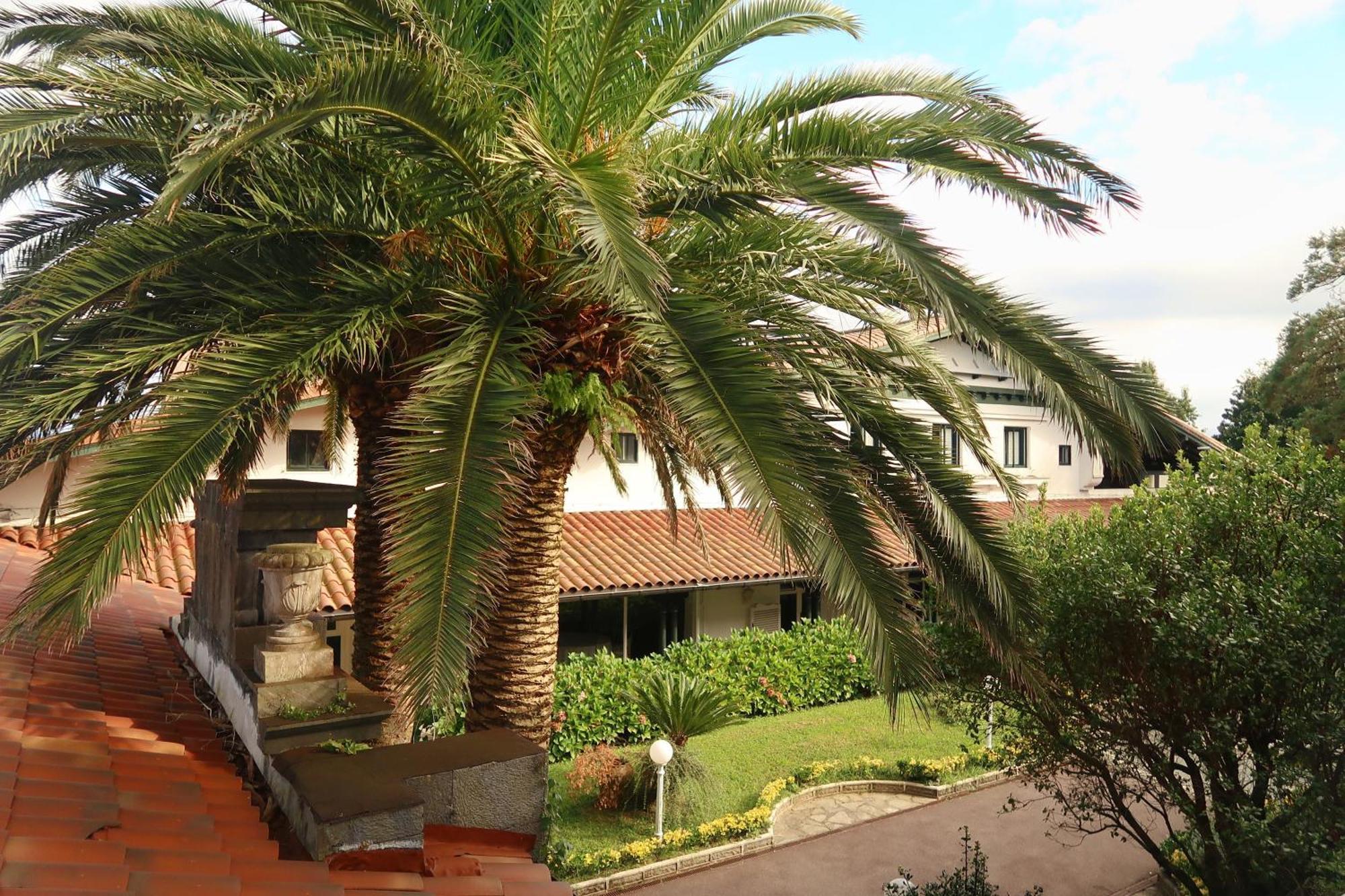 Twin Room Garden View
