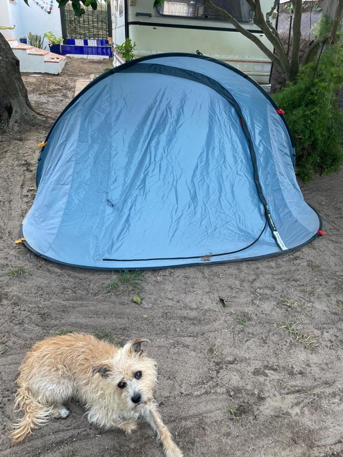 Tent