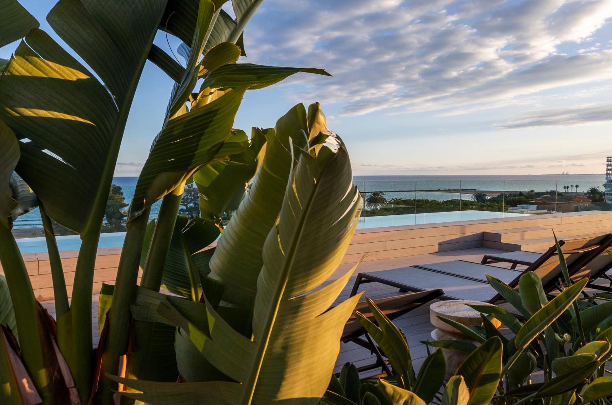 Suite Terrace