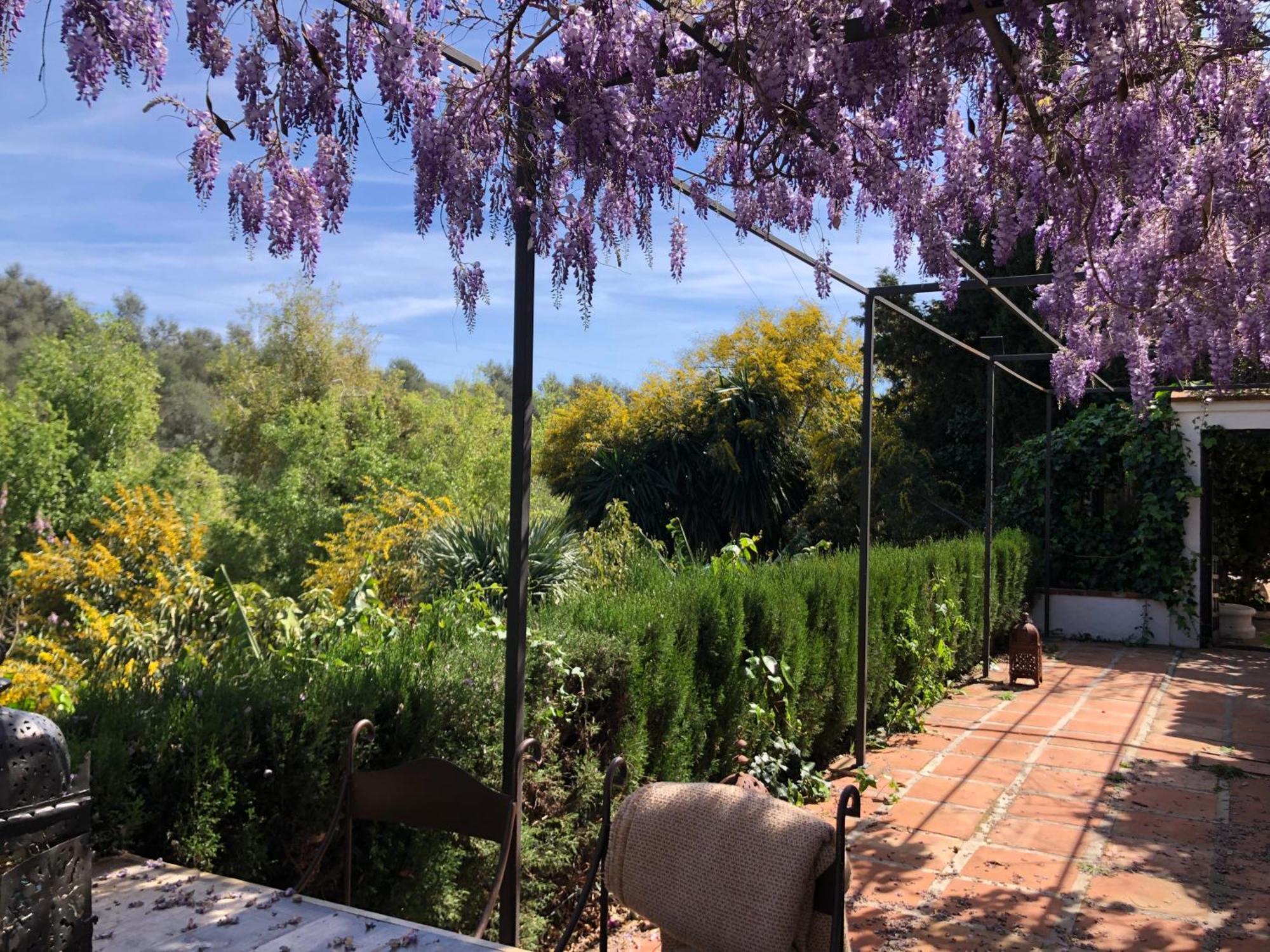 Suite Garden View,1743329183:JPEG