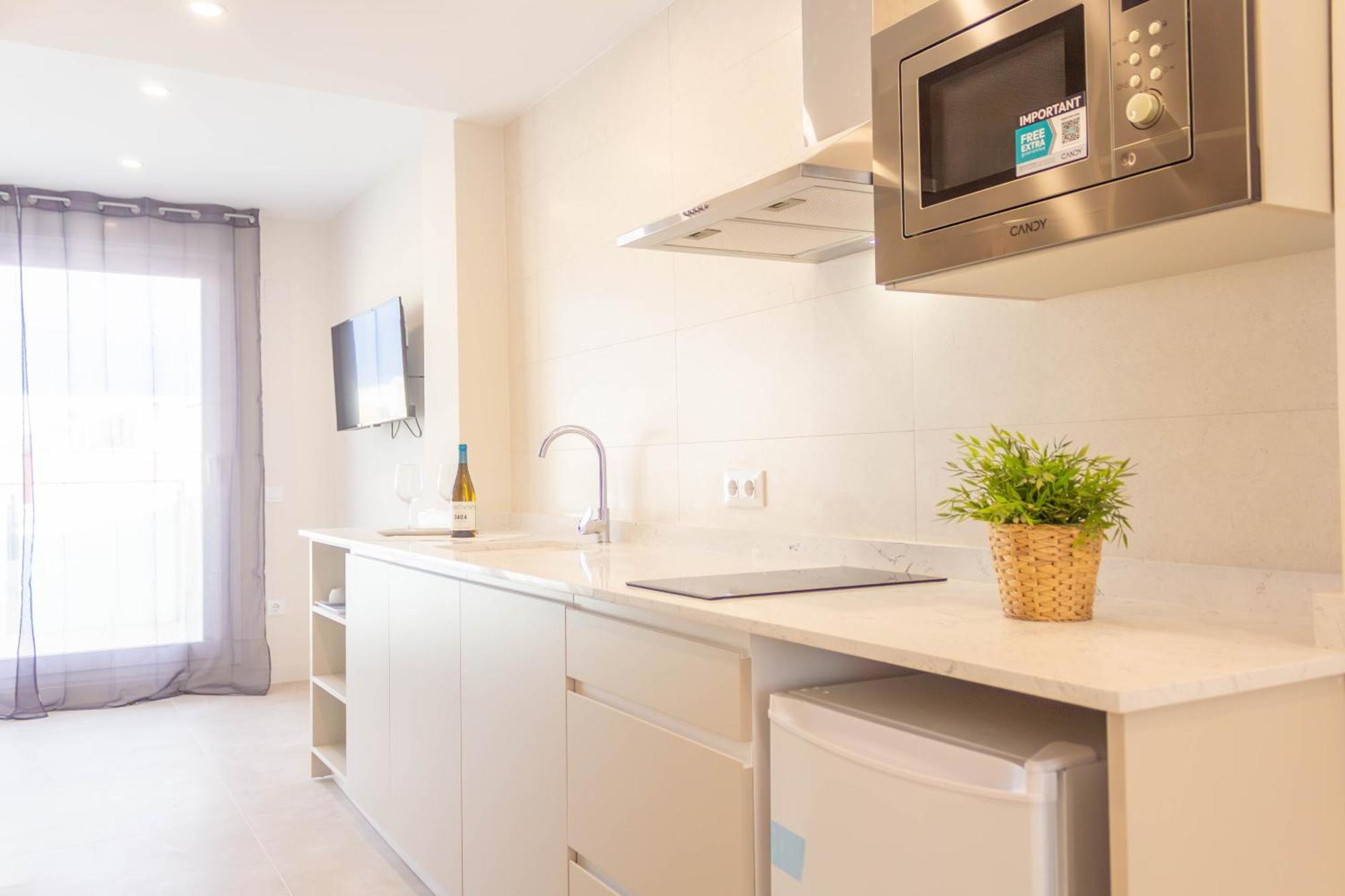 Penthouse Apartment