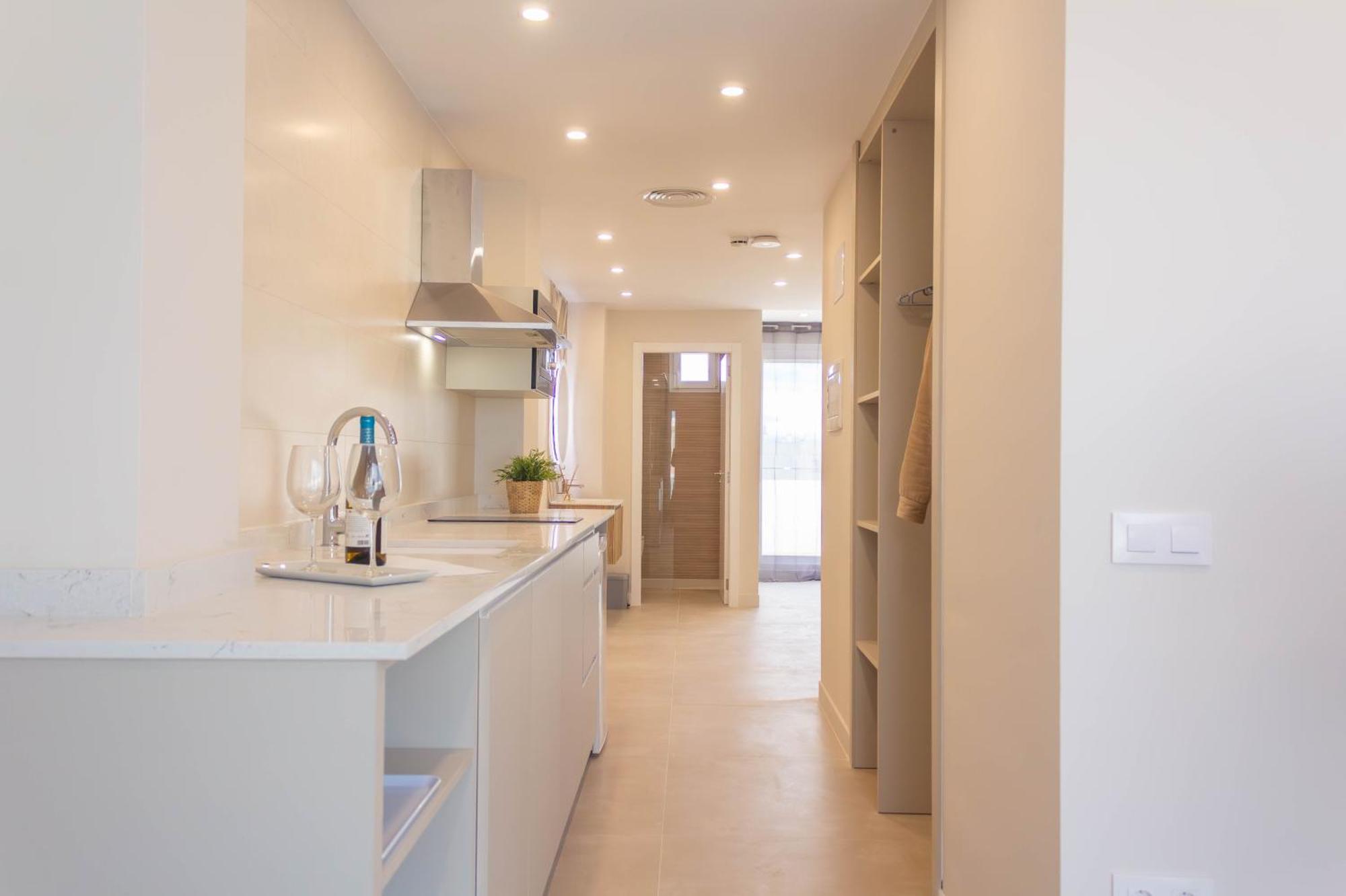 Penthouse Apartment