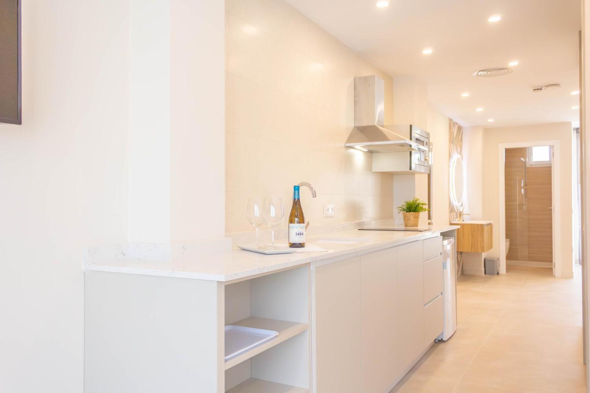 Penthouse Apartment