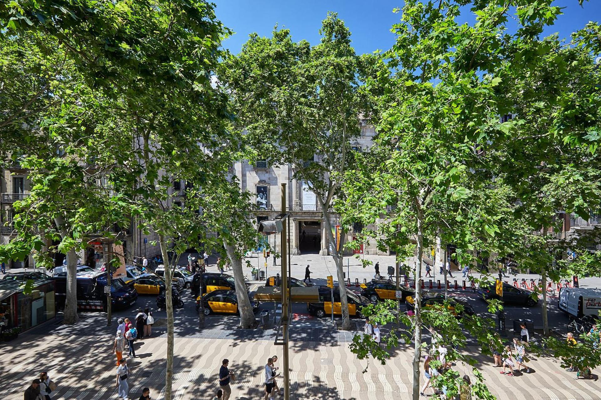 Single Room with Shower,1672617467:JPEG