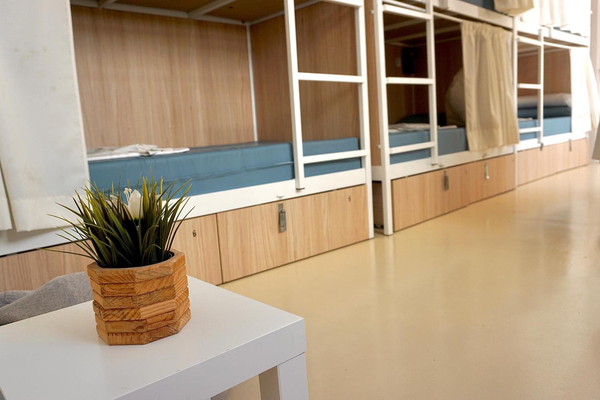 Bed 16 Bed Mixed Dormitory Room