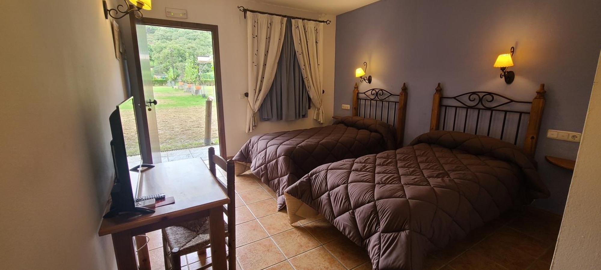 Double or Twin Room