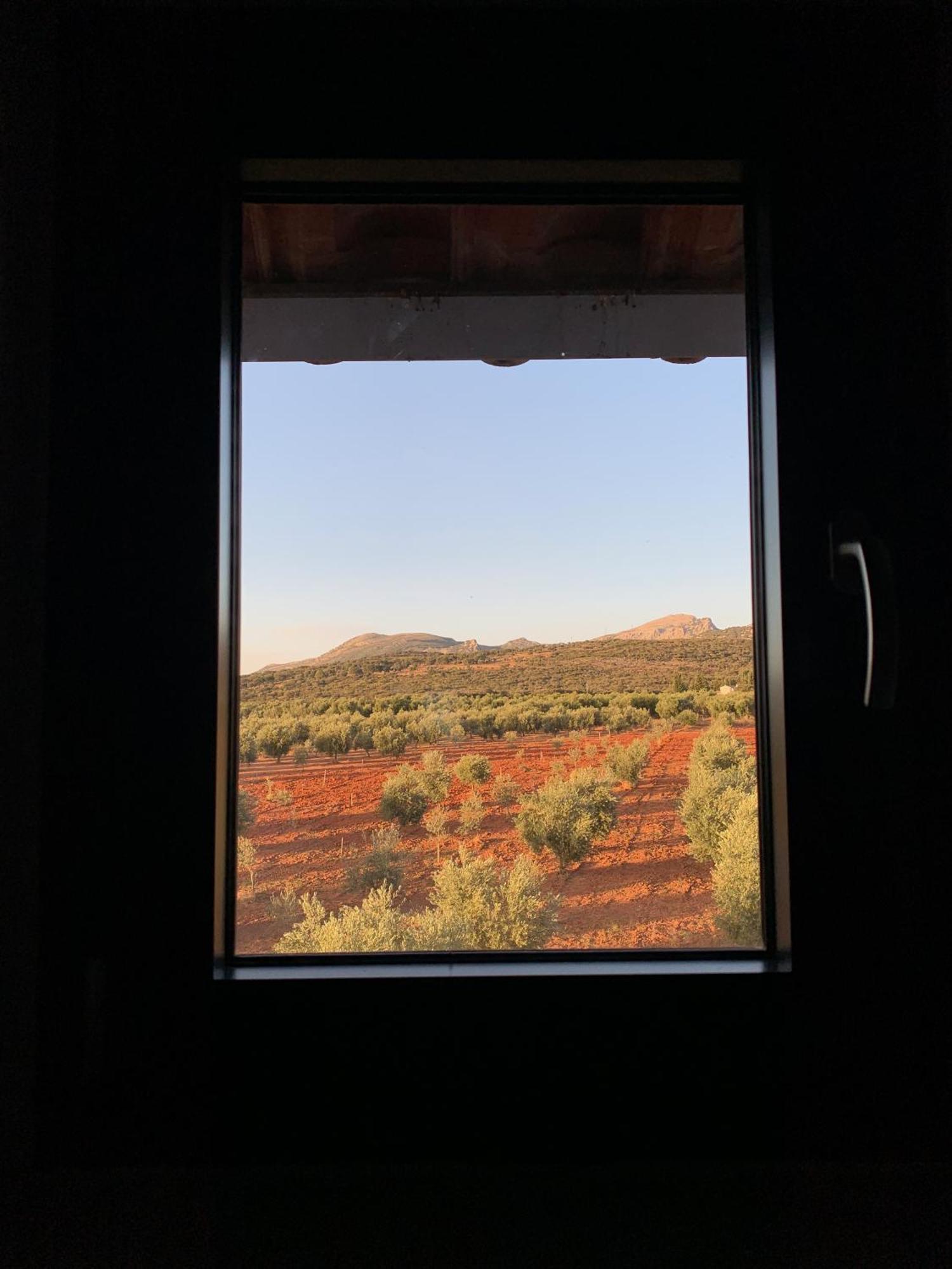 Suite Mountain View,1743161070:JPEG