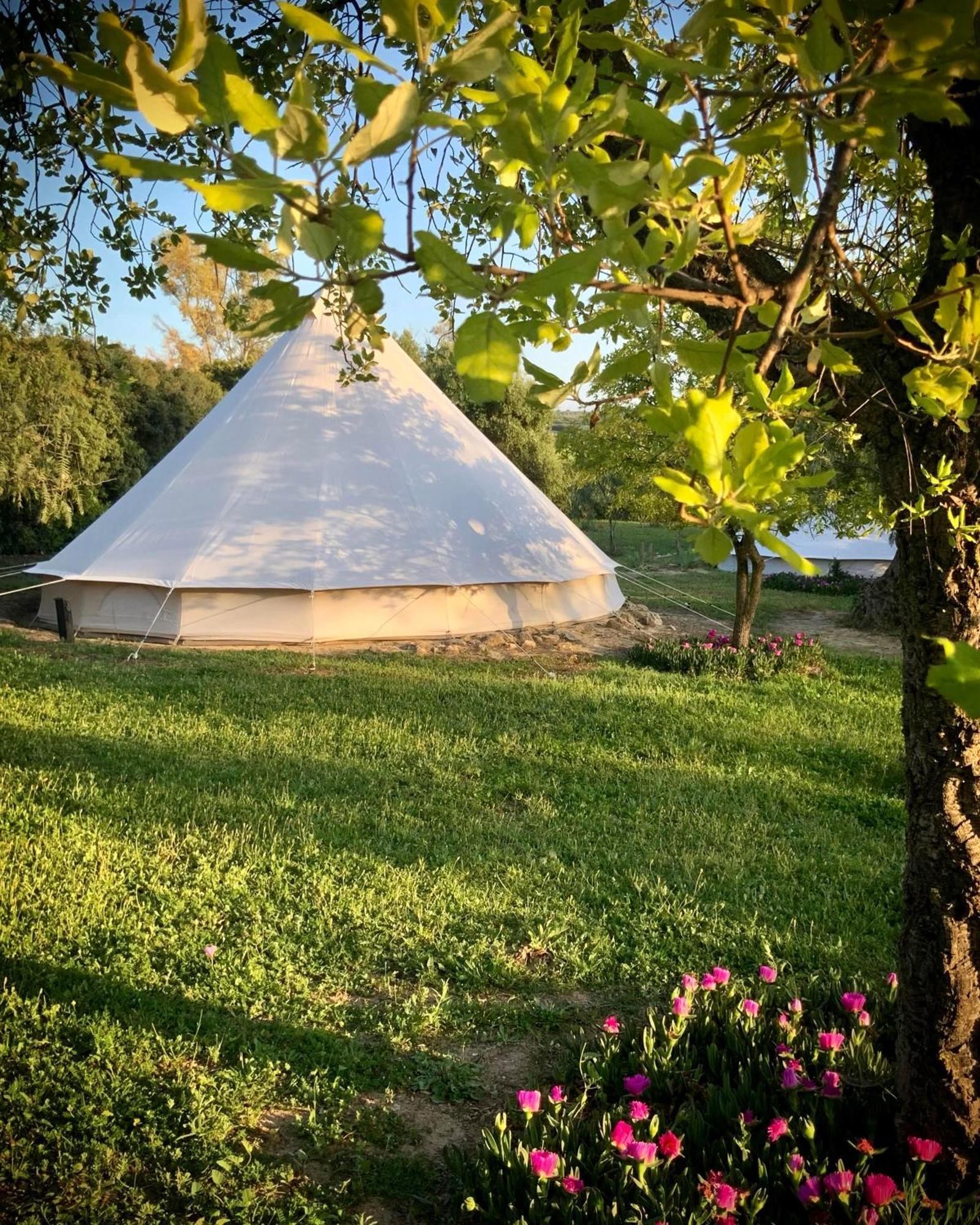 Habitación Doble Básica