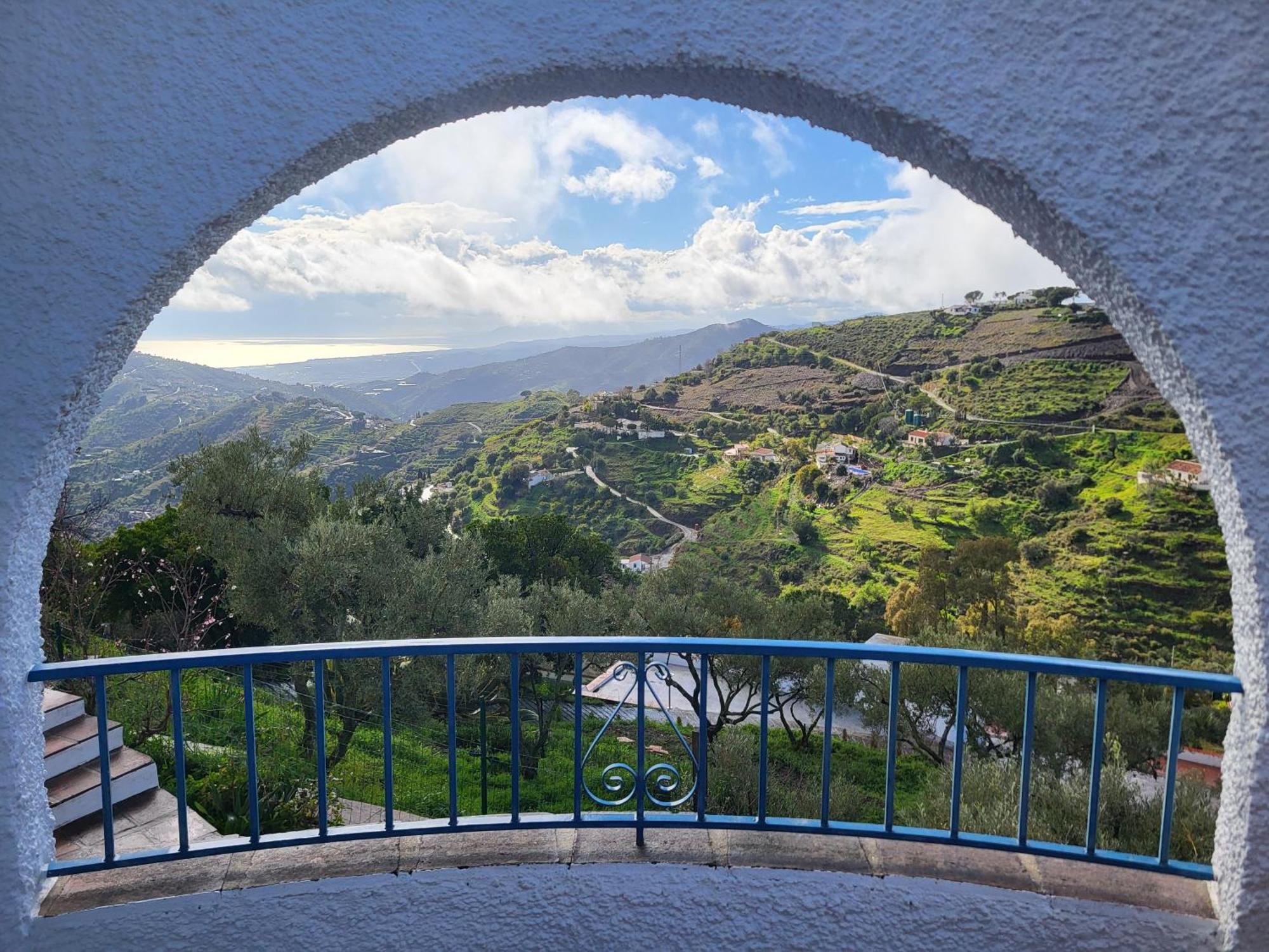 Double or Twin Room Mountain View
