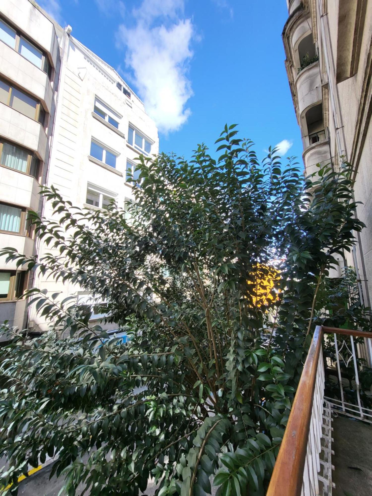 Deluxe Apartment,1765881597:JPEG