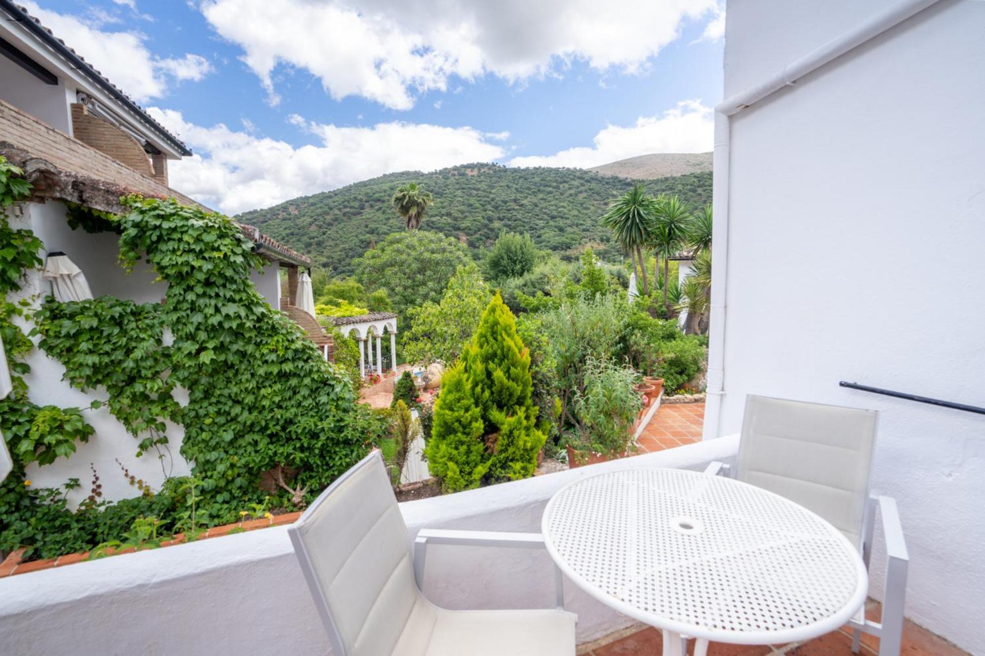 Family Room Terrace