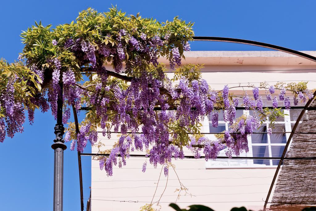 Suite mit Terrasse