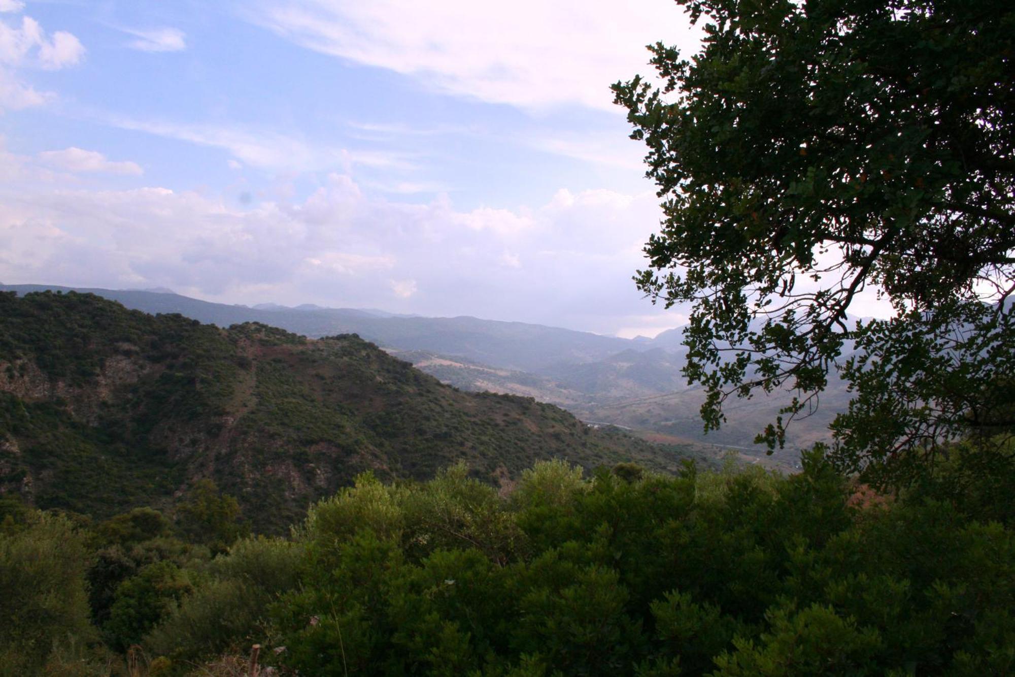 Estudio con vistas a las montañas