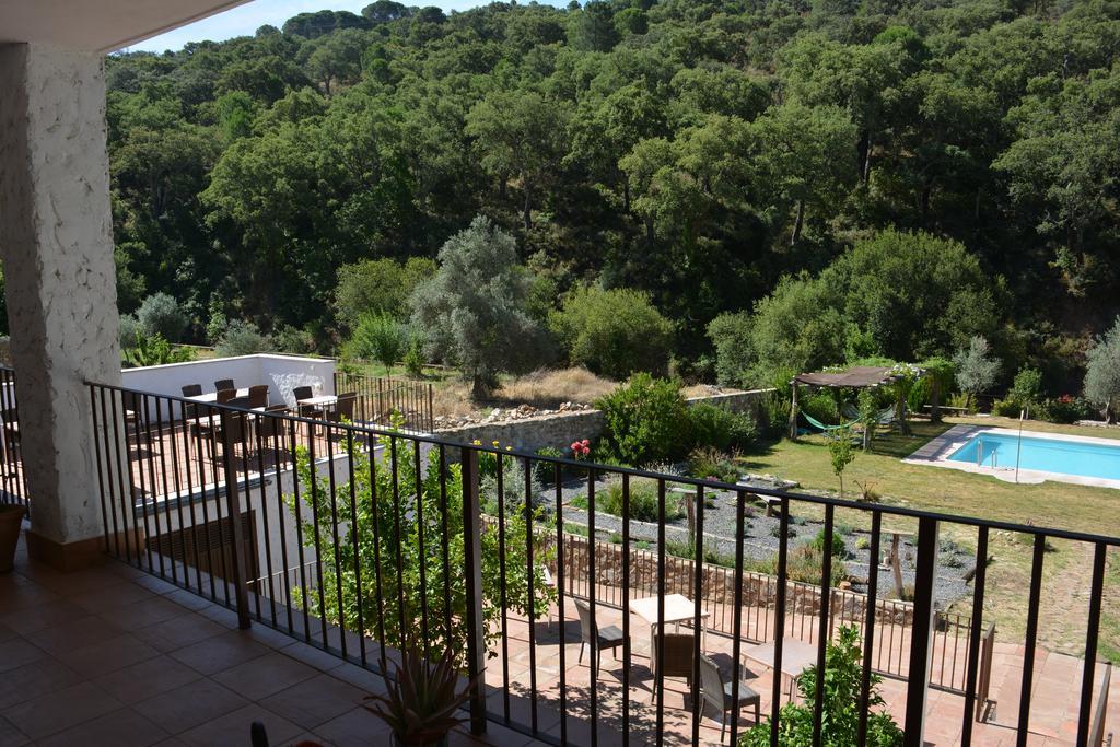 Double or Twin Room Terrace