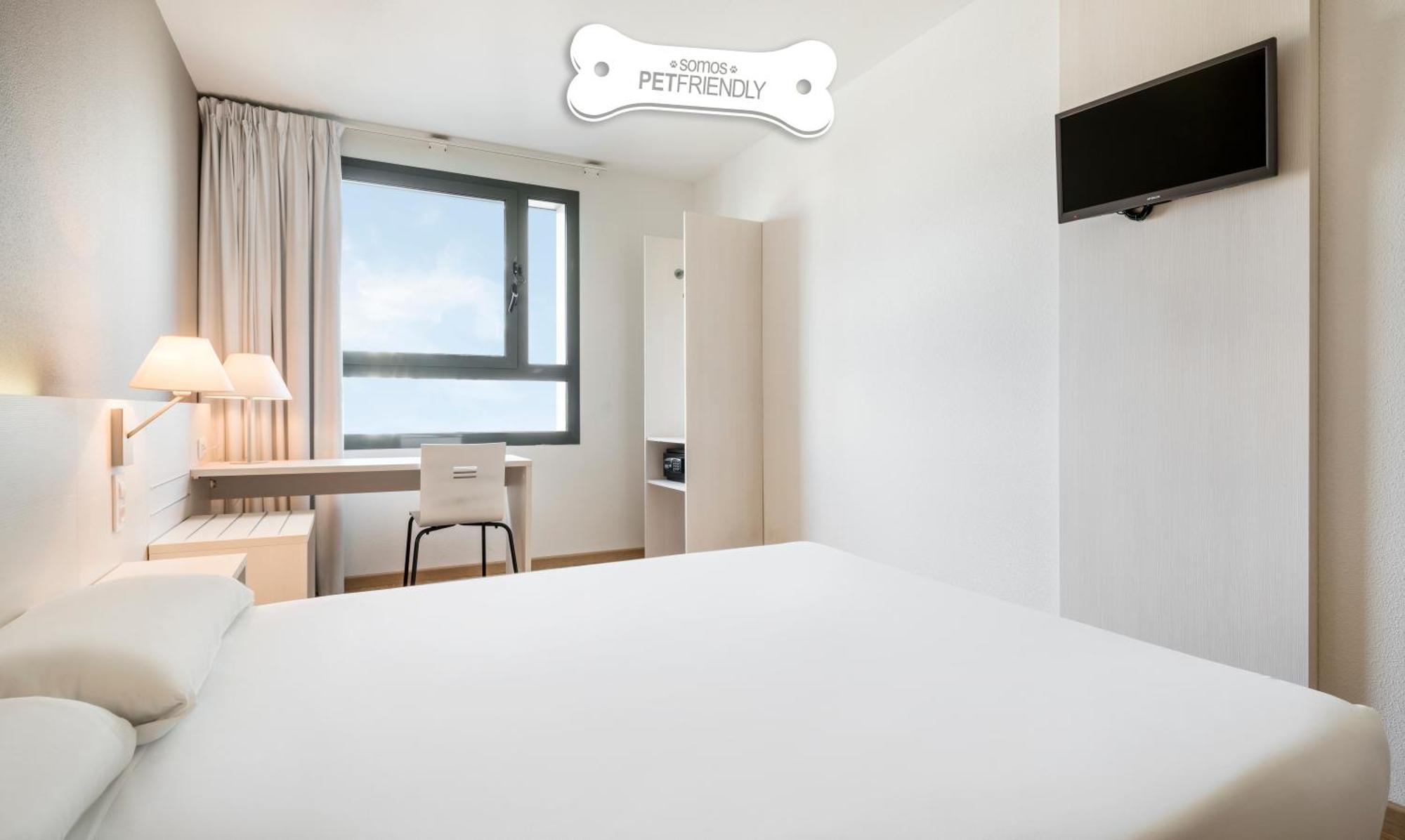 Twin Room Pet Friendly
