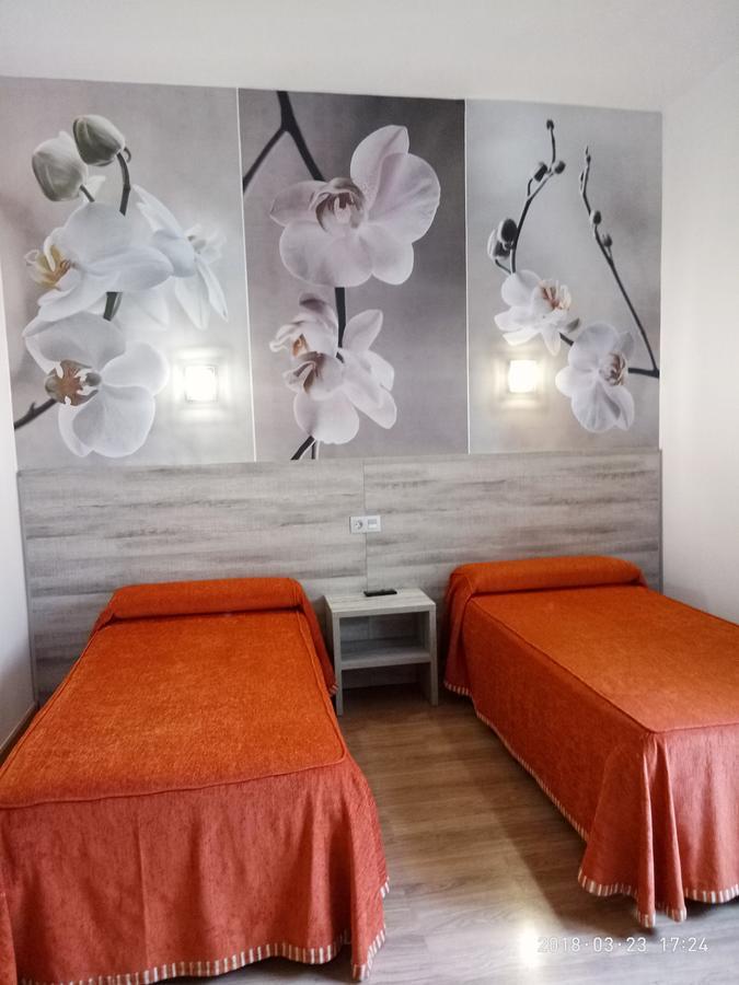 Double or Twin Room,653307048:JPEG