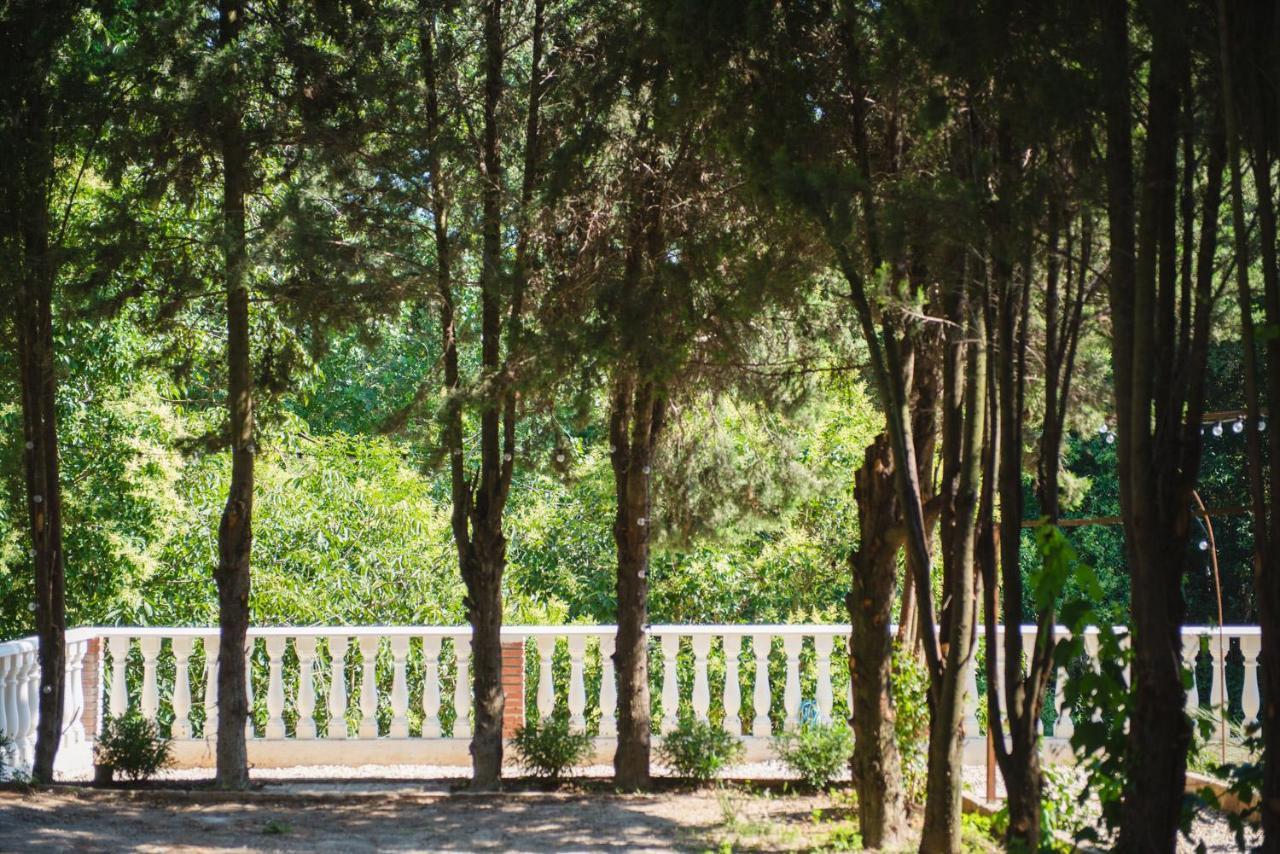 Suite Junior con vistas al jardín