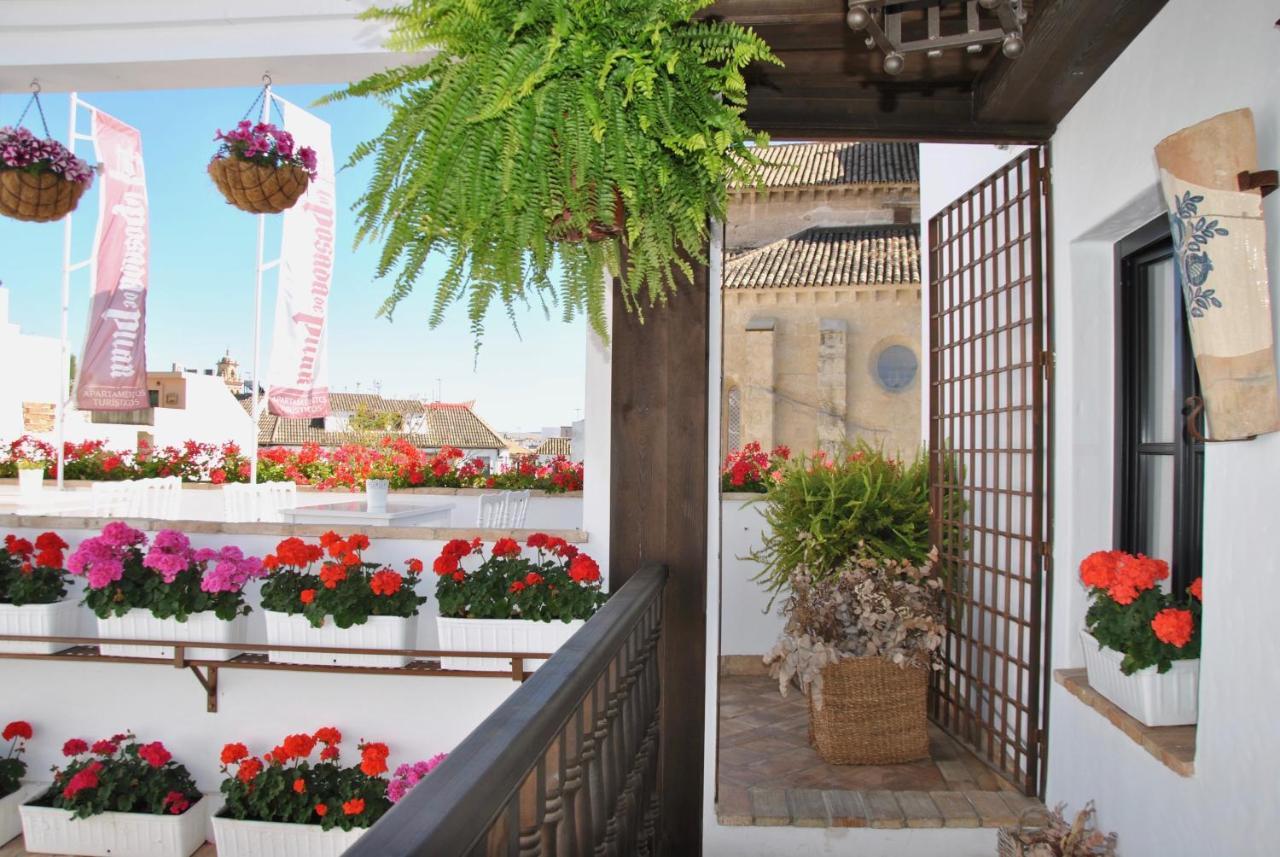 Appartement avec Balcon