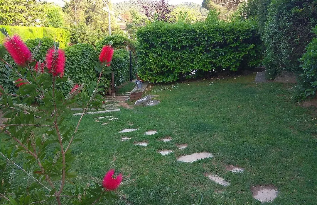 B&B Inés-1
