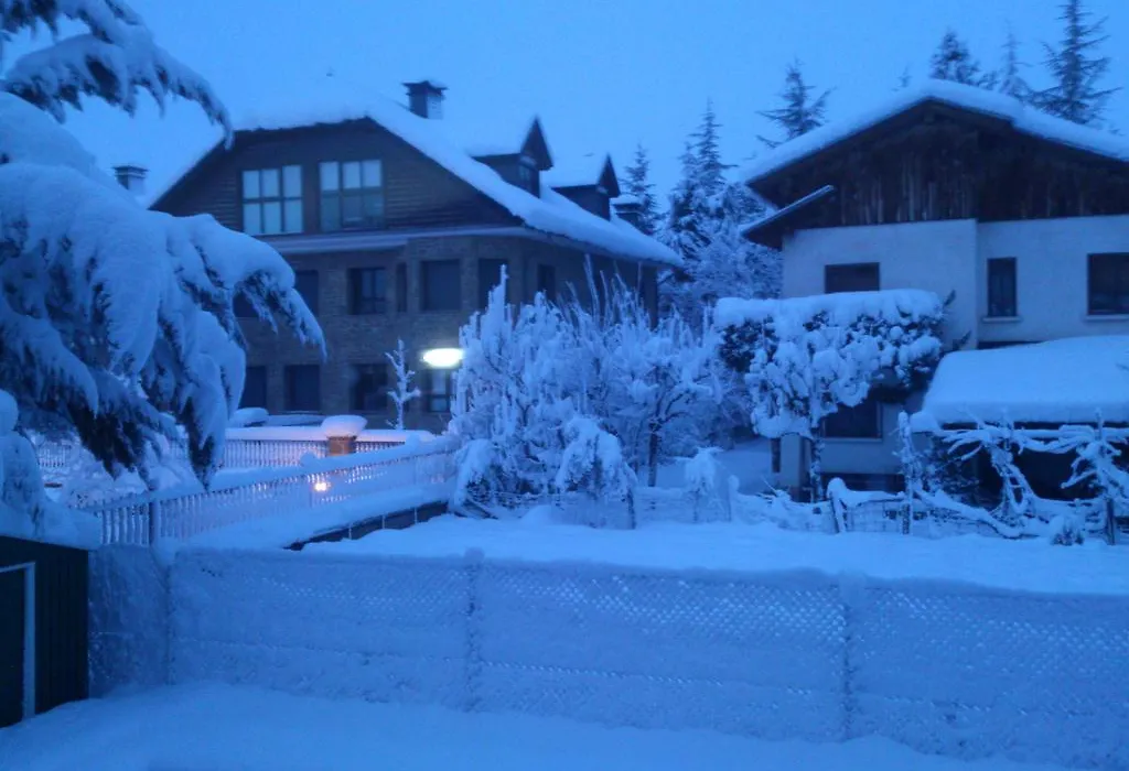 Hotel Chalet Puigdefabregas-1