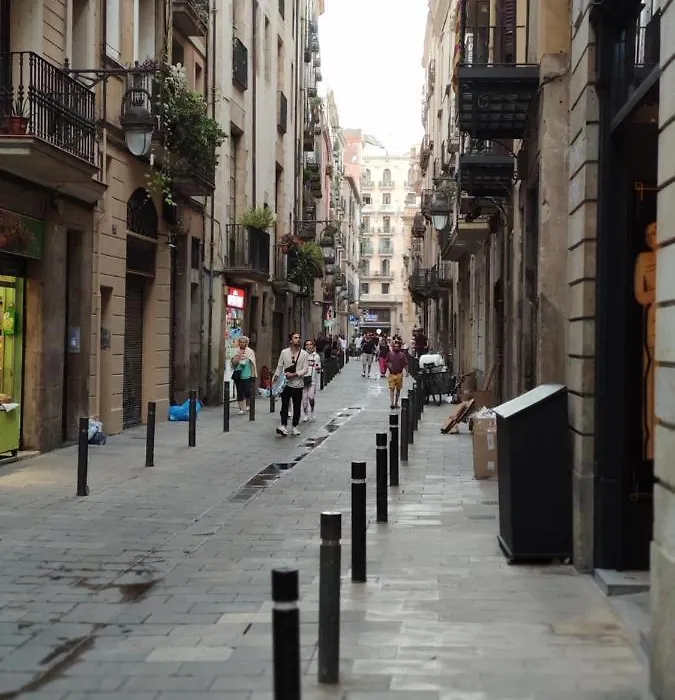 Habitacion En Centro De Barcelona-1