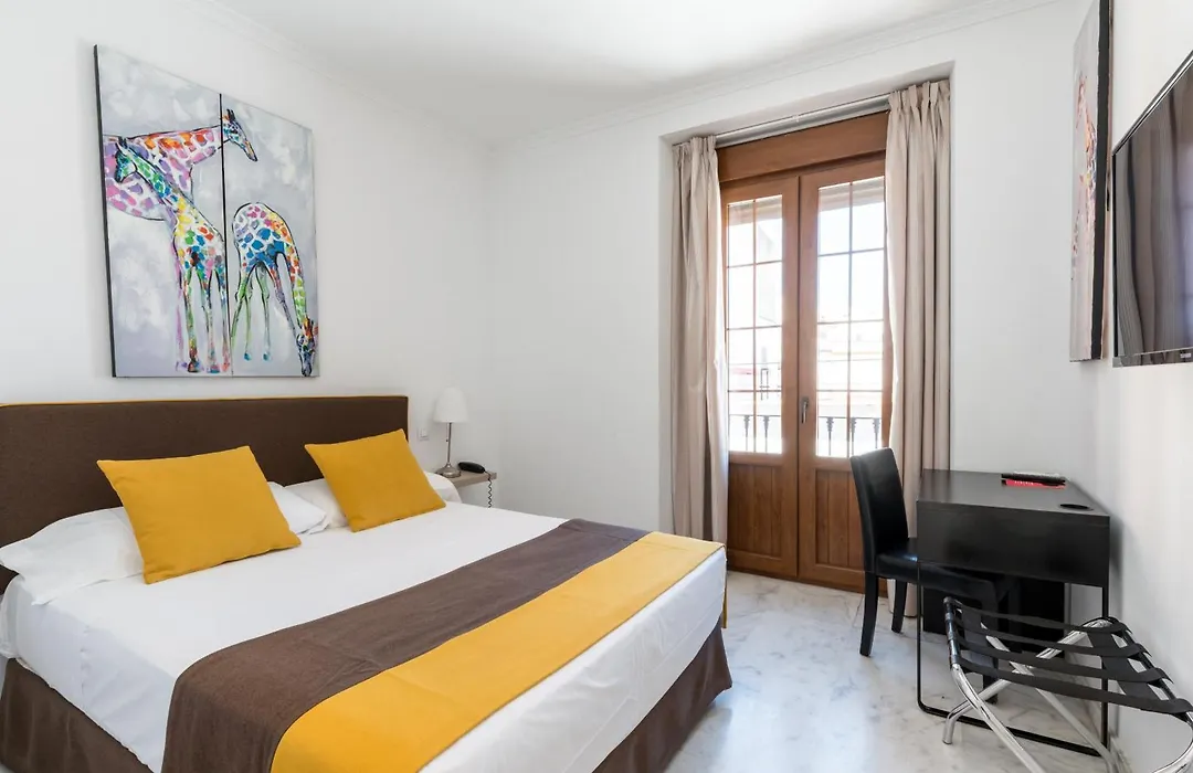 Cool Sevilla Hotel-1