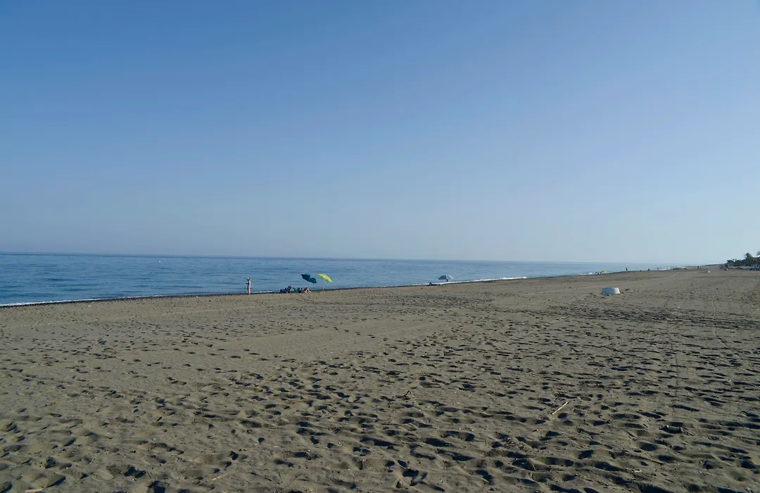 Trh Paraiso-1