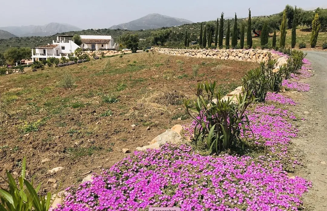 Finca Zayas Casa Rural&Guest Suites-1
