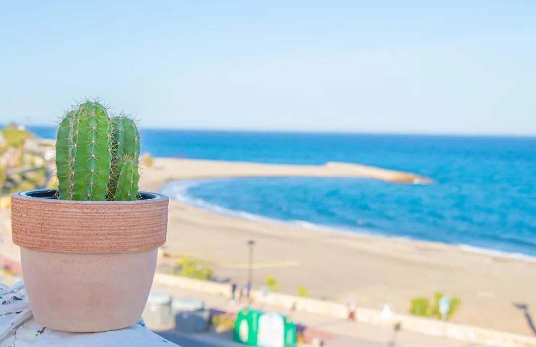 La Esperanza Beach- Zona Pubs Y Restaurantes-1