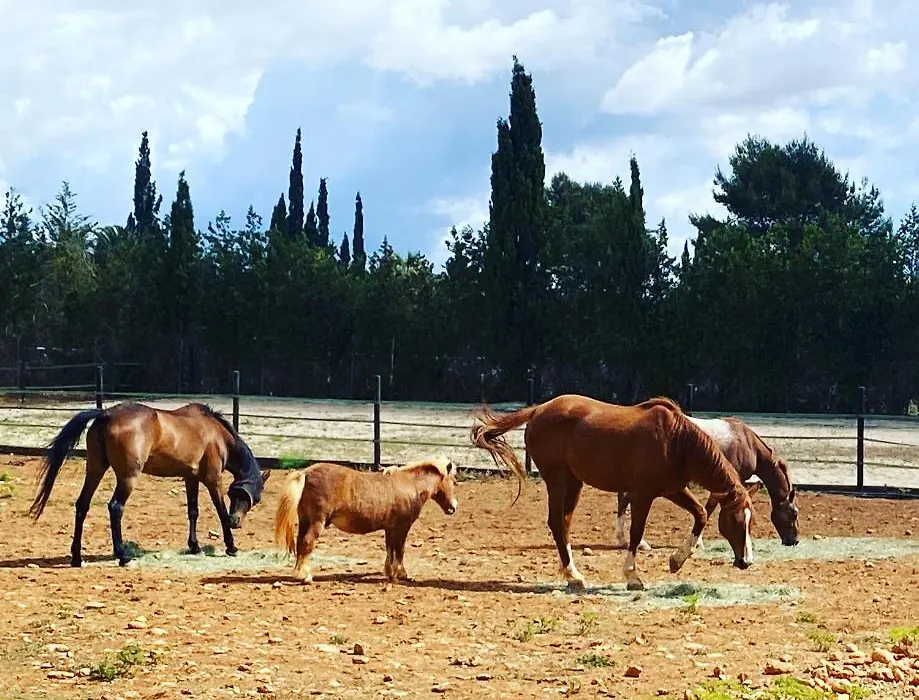 Finca Montpellier-1