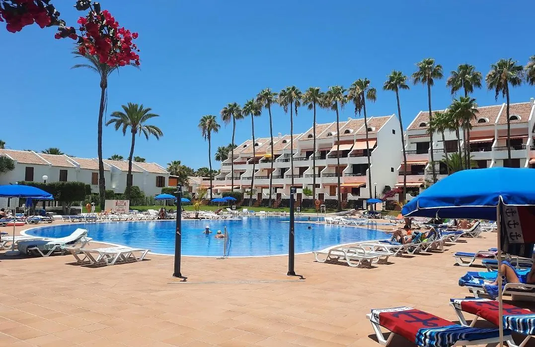 Ziocarlo/Las Americas-1