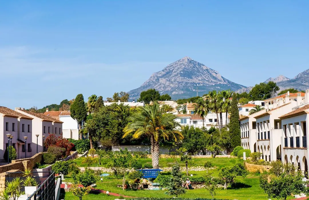 Alfas Oasis-1