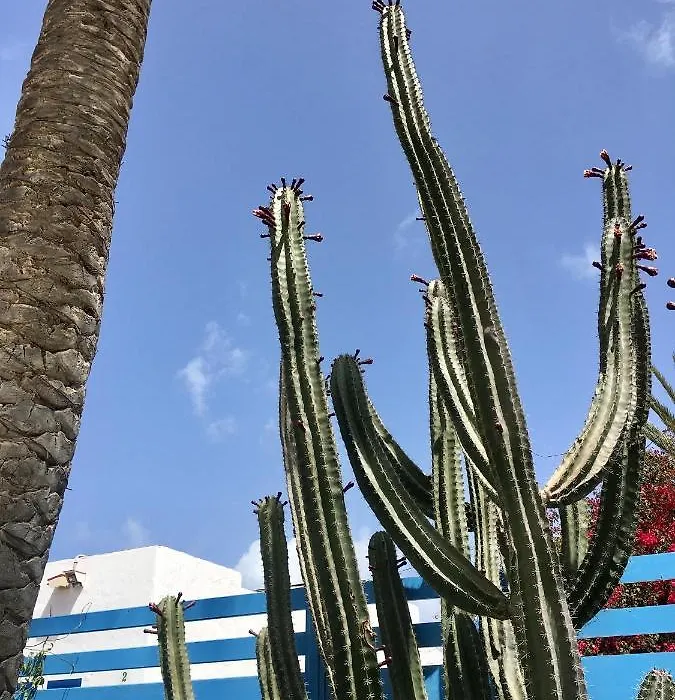Casa Cactus-1