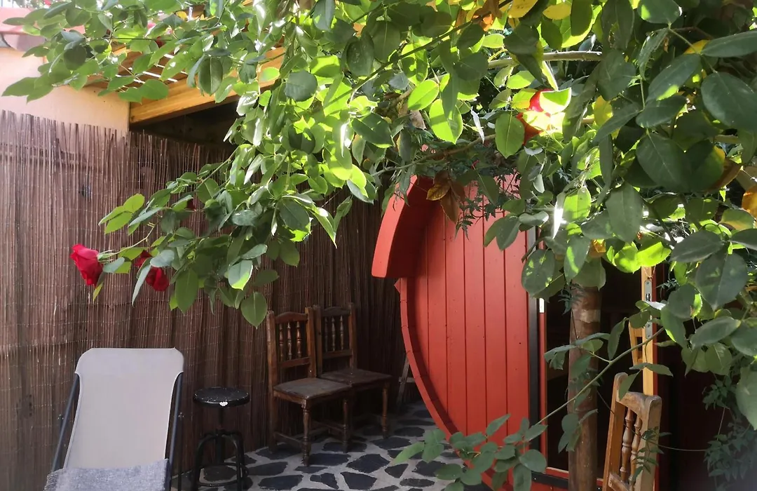 Gato Azul - Coliving-1
