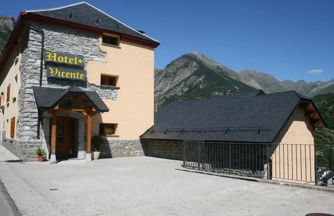 Hotel Vicente-1